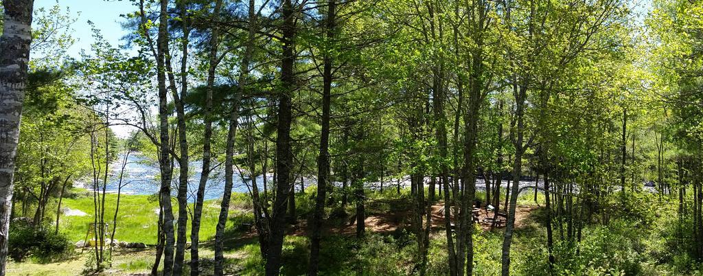 Roseway River Cottages Shelburne Dış mekan fotoğraf
