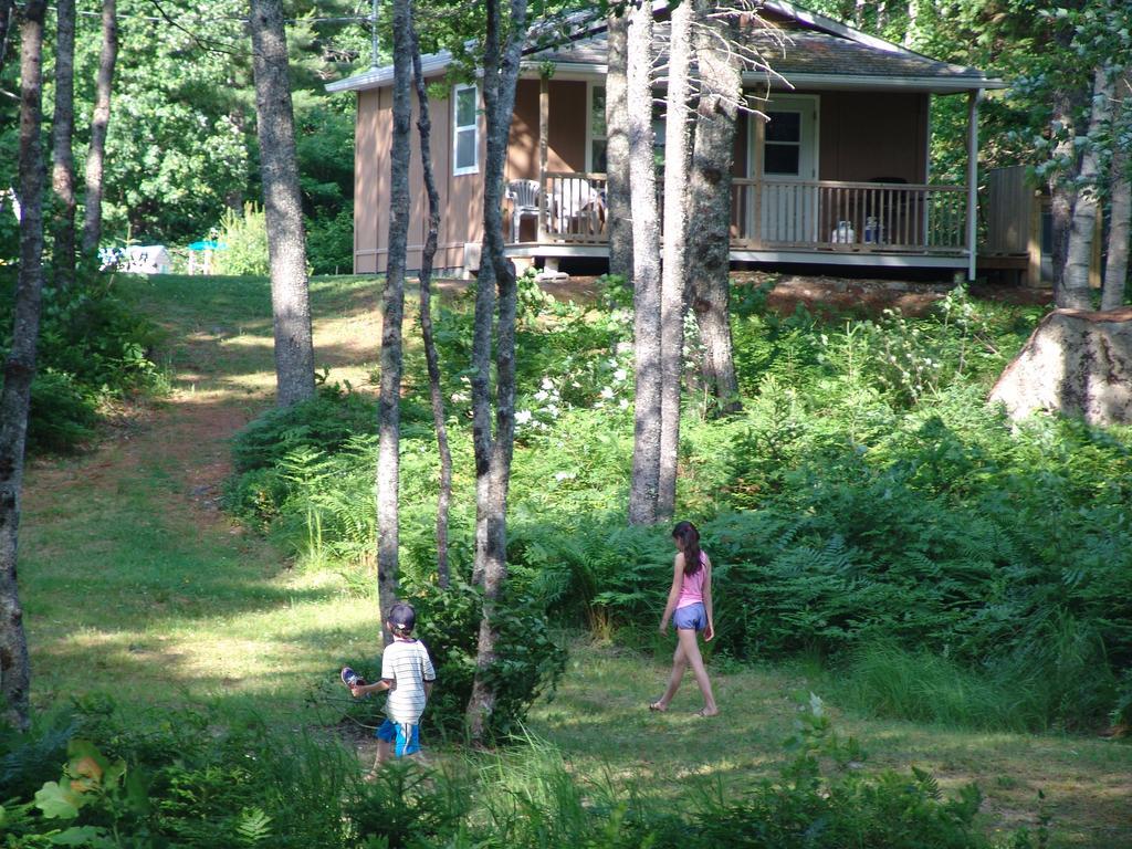 Roseway River Cottages Shelburne Oda fotoğraf