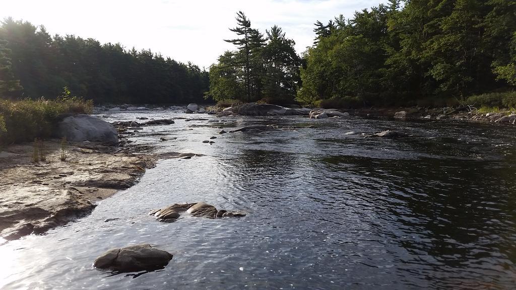 Roseway River Cottages Shelburne Dış mekan fotoğraf