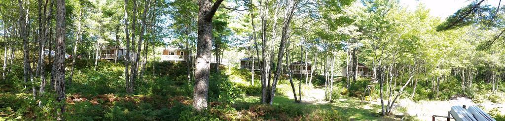 Roseway River Cottages Shelburne Dış mekan fotoğraf