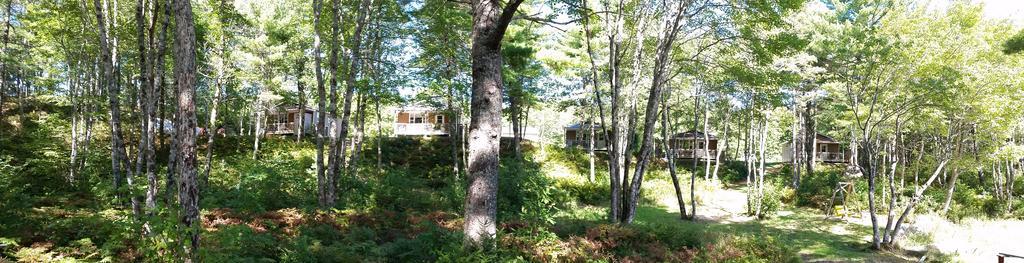 Roseway River Cottages Shelburne Dış mekan fotoğraf