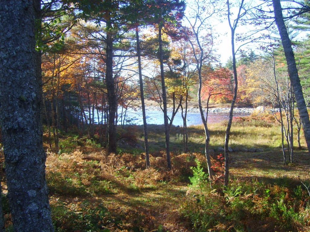 Roseway River Cottages Shelburne Dış mekan fotoğraf