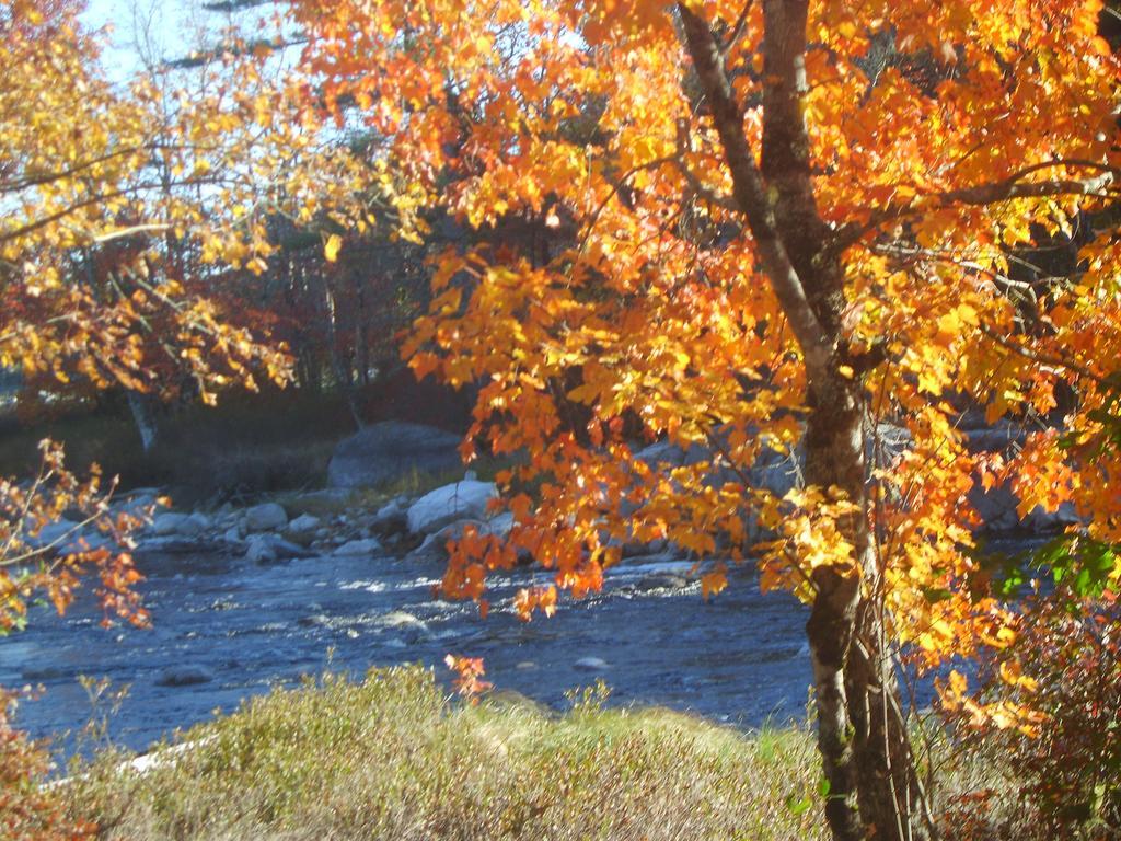 Roseway River Cottages Shelburne Dış mekan fotoğraf