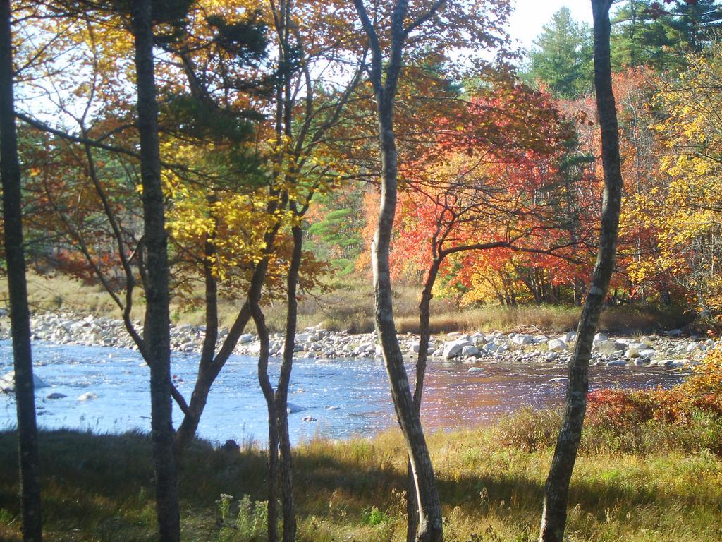 Roseway River Cottages Shelburne Dış mekan fotoğraf