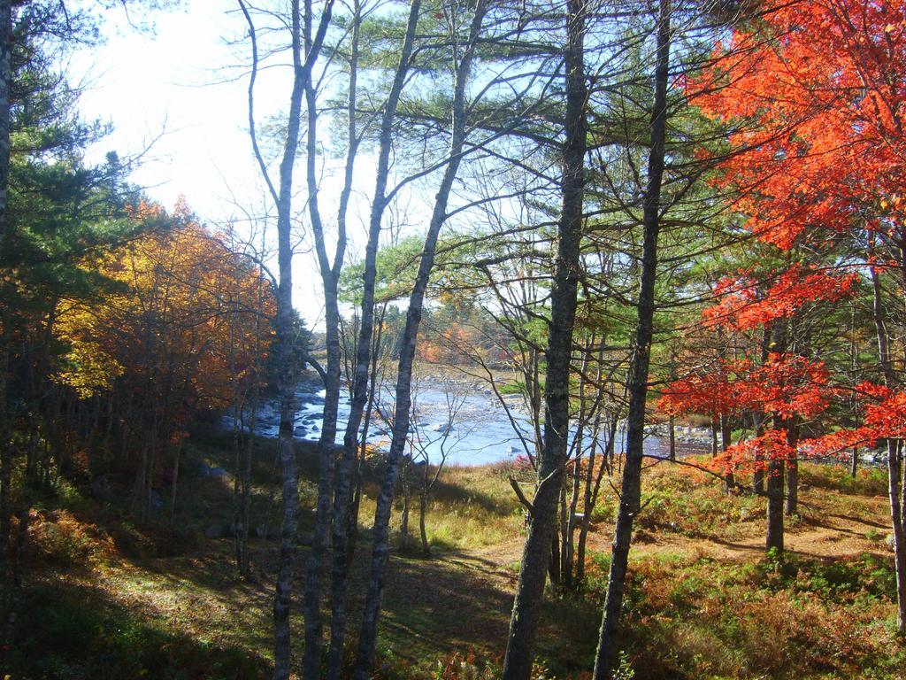 Roseway River Cottages Shelburne Dış mekan fotoğraf